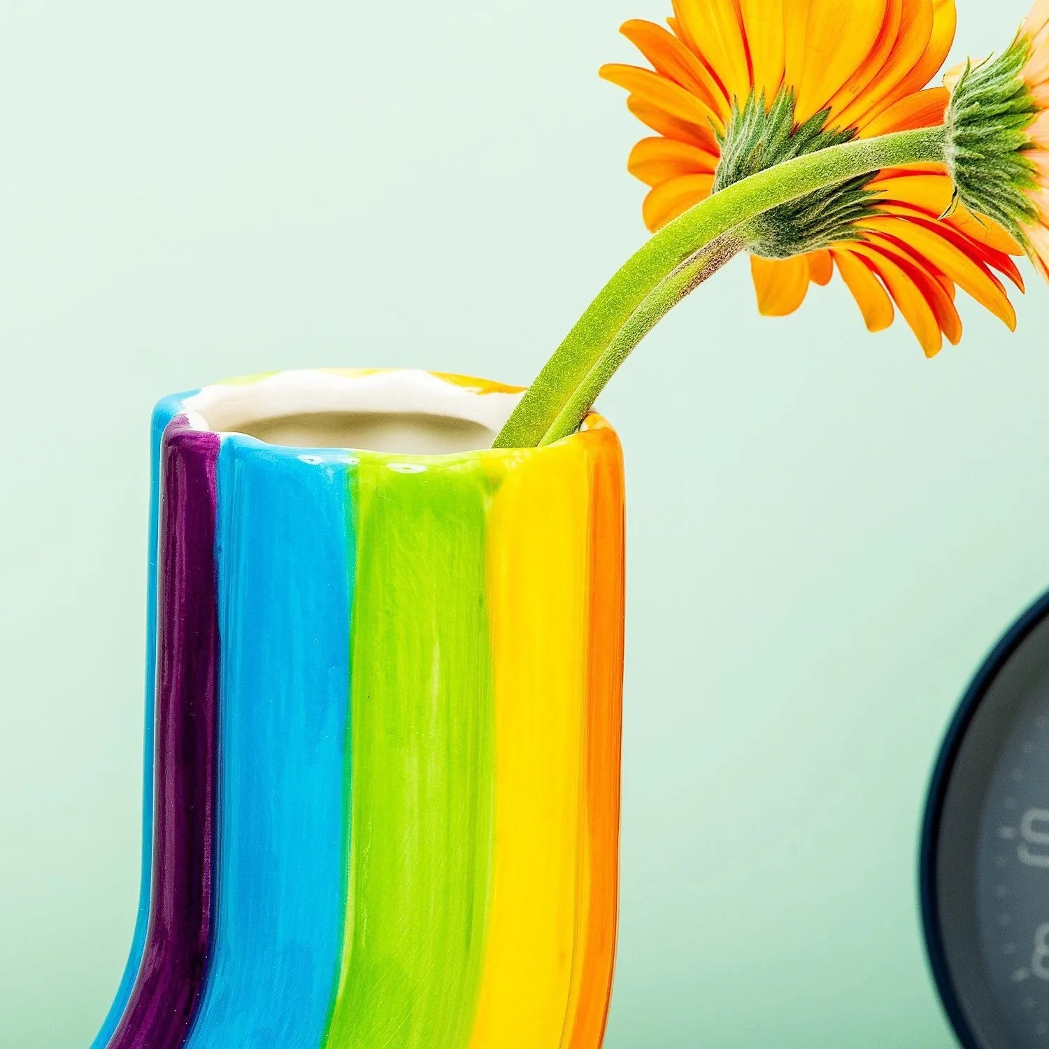 The Unity Rainbow Vase