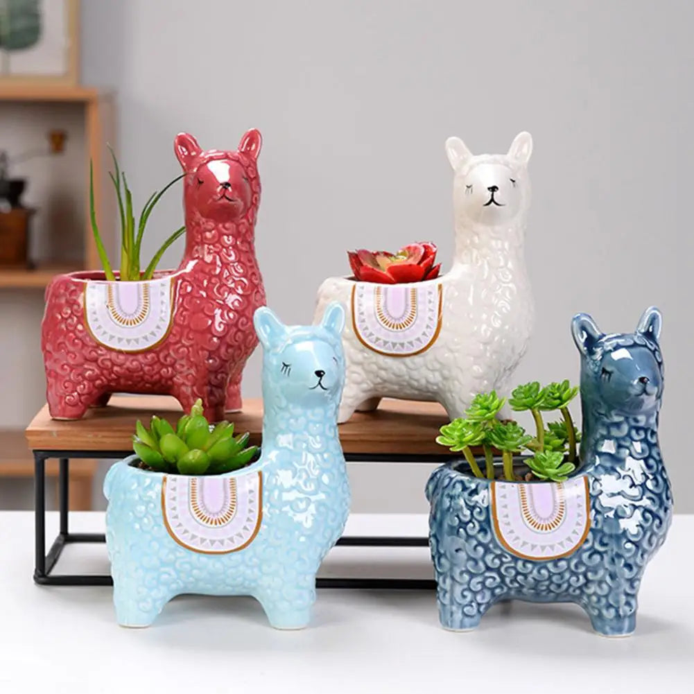 Akusi Alpaca Planters